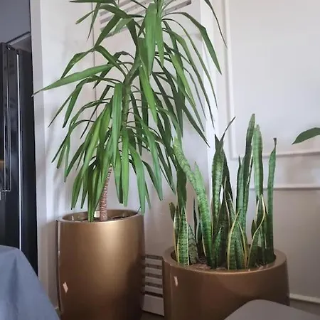 Exclusive Waterfront Terraces - Unique Appartamento *